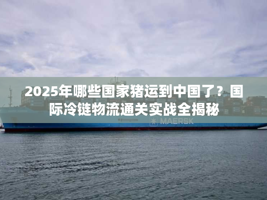 2025年哪些国家猪运到中国了？国际冷链物流通关实战全揭秘