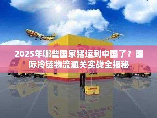 2025年哪些国家猪运到中国了？国际冷链物流通关实战全揭秘