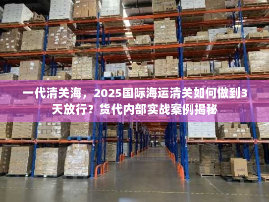 一代清关海，2025国际海运清关如何做到3天放行？货代内部实战案例揭秘
