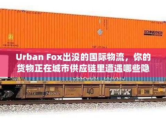 Urban Fox出没的国际物流,你的货物正在城市供应链里遭遇哪些隐形拦截? Urban Fox出没的国际物流,你的货物正在城市供应链里遭遇哪些隐形拦截?