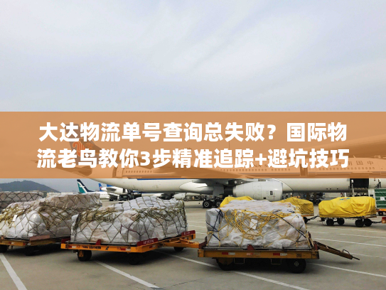 大达物流单号查询总失败？国际物流老鸟教你3步精准追踪+避坑技巧