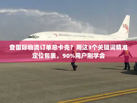 查国际物流订单总卡壳？用这3个关键词精准定位包裹，90%用户刚学会