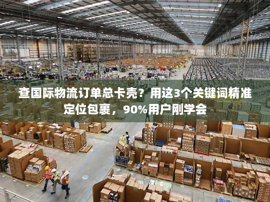 查国际物流订单总卡壳？用这3个关键词精准定位包裹，90%用户刚学会