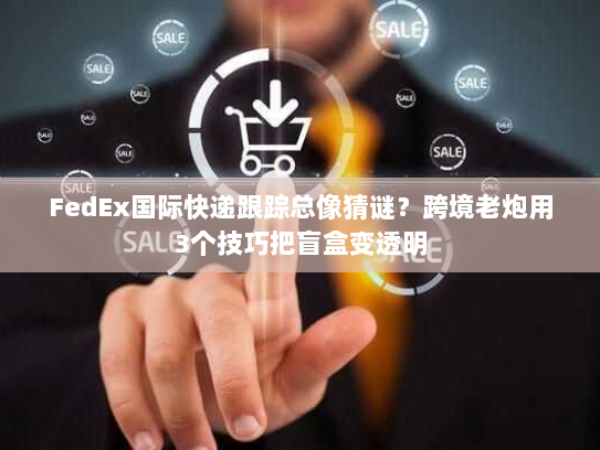 FedEx国际快递跟踪总像猜谜？跨境老炮用3个技巧把盲盒变透明