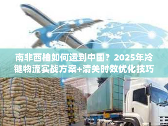 南非西柚如何运到中国？2025年冷链物流实战方案+清关时效优化技巧
