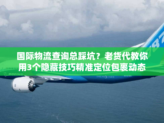 国际物流查询总踩坑？老货代教你用3个隐藏技巧精准定位包裹动态