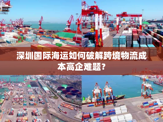 深圳国际海运如何破解跨境物流成本高企难题？