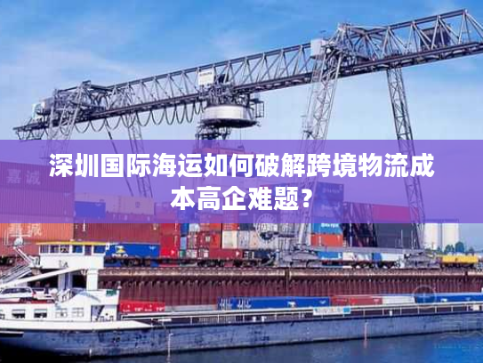 深圳国际海运如何破解跨境物流成本高企难题？