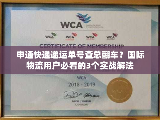 申通快递递运单号查总翻车？国际物流用户必看的3个实战解法