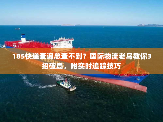 185快递查询总查不到？国际物流老鸟教你3招破局，附实时追踪技巧