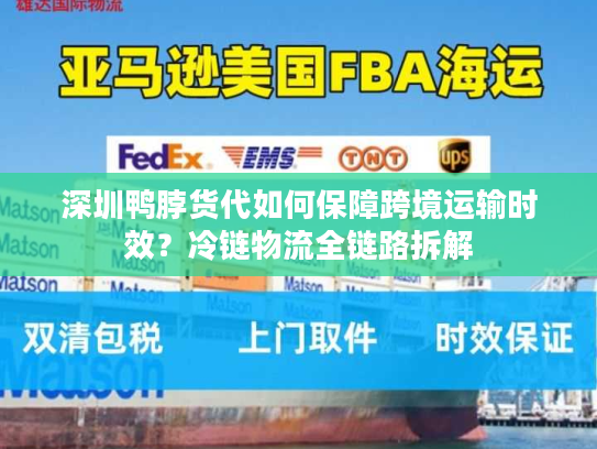 深圳鸭脖货代如何保障跨境运输时效？冷链物流全链路拆解