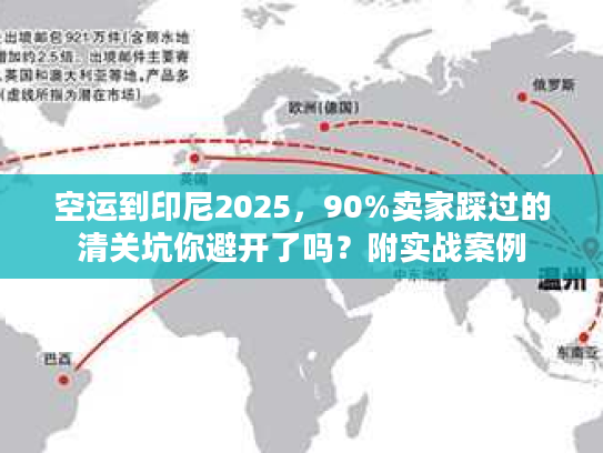 空运到印尼2025，90%卖家踩过的清关坑你避开了吗？附实战案例