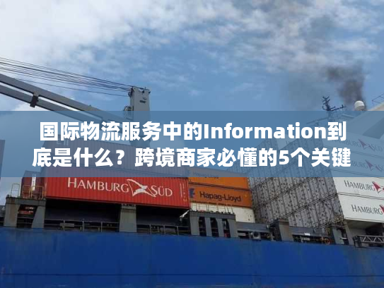 国际物流服务中的Information到底是什么？跨境商家必懂的5个关键信息价值