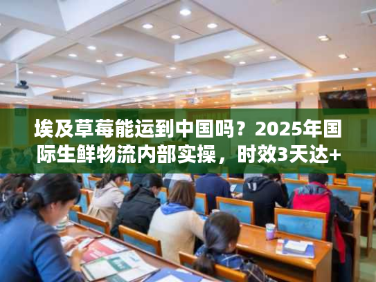 埃及草莓能运到中国吗？2025年国际生鲜物流内部实操，时效3天达+清关0延误秘诀
