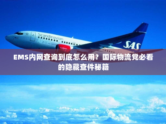 EMS内网查询到底怎么用？国际物流党必看的隐藏查件秘籍
