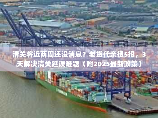 清关将近两周还没消息？老货代亲授5招，3天解决清关延误难题（附2025最新政策）