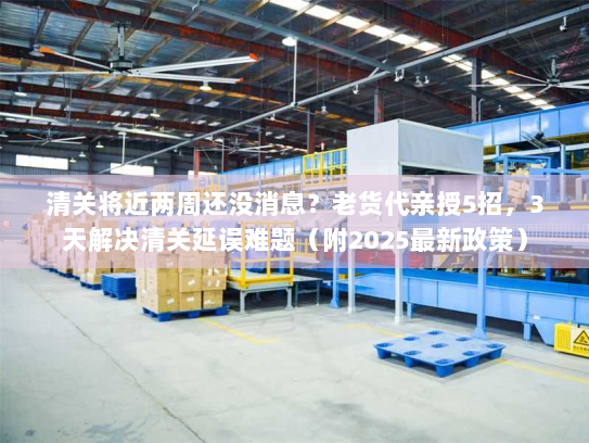 清关将近两周还没消息？老货代亲授5招，3天解决清关延误难题（附2025最新政策）