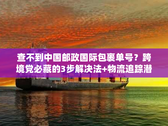 查不到中国邮政国际包裹单号？跨境党必藏的3步解决法+物流追踪潜规则
