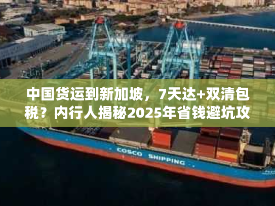 中国货运到新加坡，7天达+双清包税？内行人揭秘2025年省钱避坑攻略
