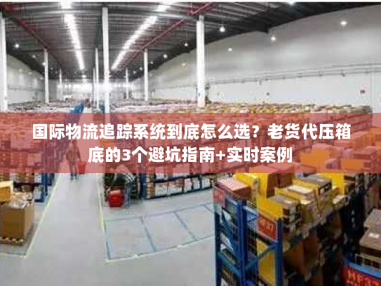 国际物流追踪系统到底怎么选？老货代压箱底的3个避坑指南+实时案例