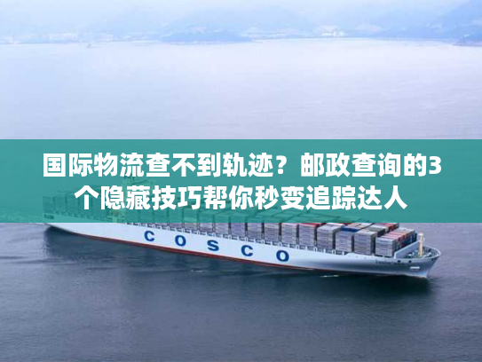 国际物流查不到轨迹？邮政查询的3个隐藏技巧帮你秒变追踪达人