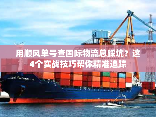 用顺风单号查国际物流总踩坑？这4个实战技巧帮你精准追踪