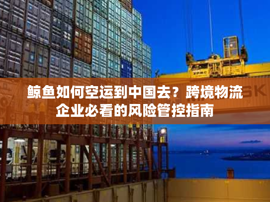 鲸鱼如何空运到中国去？跨境物流企业必看的风险管控指南