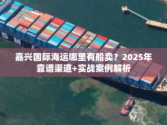 嘉兴国际海运哪里有船卖？2025年靠谱渠道+实战案例解析