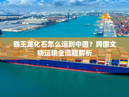 霸王龙化石怎么运到中国?跨国文物运输全流程解析 霸王龙化石怎么运到中国?跨国文物运输全流程解析