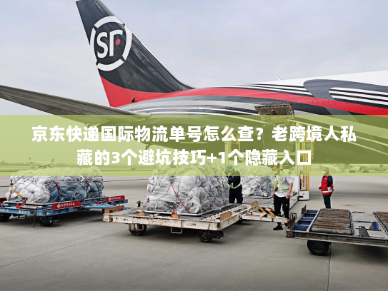 京东快递国际物流单号怎么查？老跨境人私藏的3个避坑技巧+1个隐藏入口