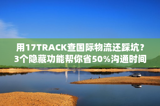 用17TRACK查国际物流还踩坑？3个隐藏功能帮你省50%沟通时间