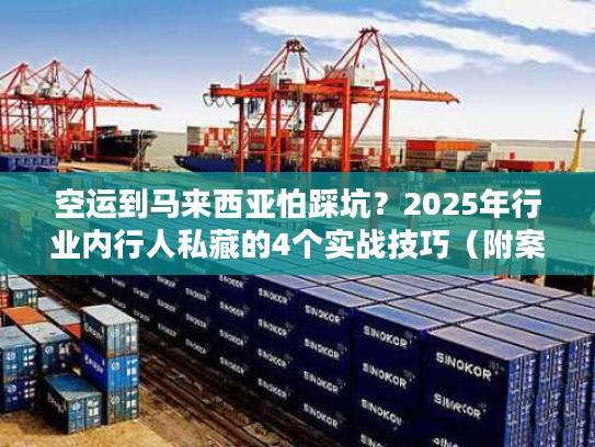 空运到马来西亚怕踩坑？2025年行业内行人私藏的4个实战技巧（附案例）