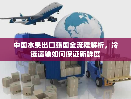 中国水果出口韩国全流程解析，冷链运输如何保证新鲜度