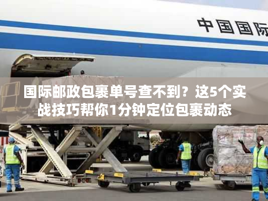 国际邮政包裹单号查不到？这5个实战技巧帮你1分钟定位包裹动态