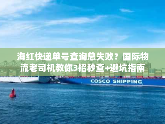 海红快递单号查询总失败？国际物流老司机教你3招秒查+避坑指南