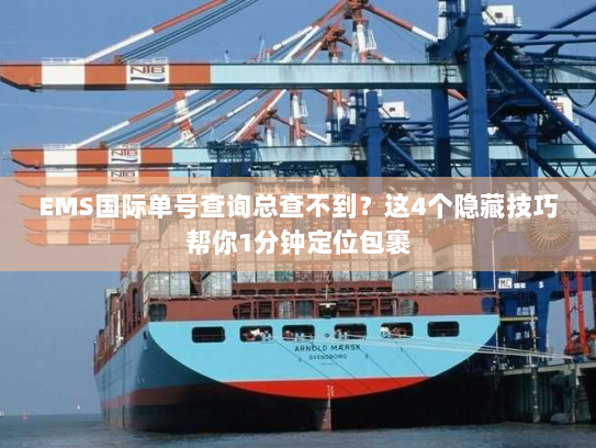 EMS国际单号查询总查不到?这4个隐藏技巧帮你1分钟定位包裹 EMS国际单号查询总查不到?这4个隐藏技巧帮你1分钟定位包裹