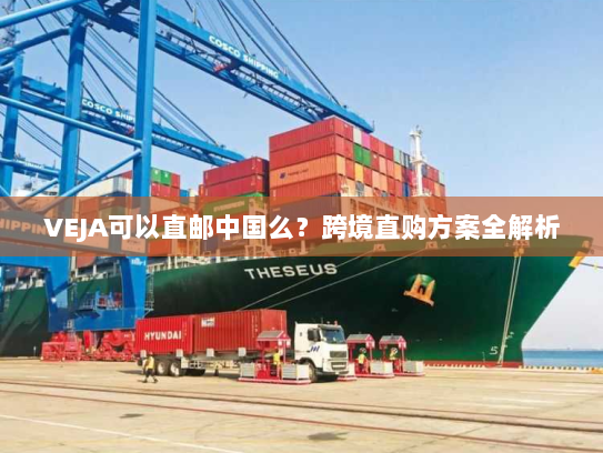 VEJA可以直邮中国么？跨境直购方案全解析