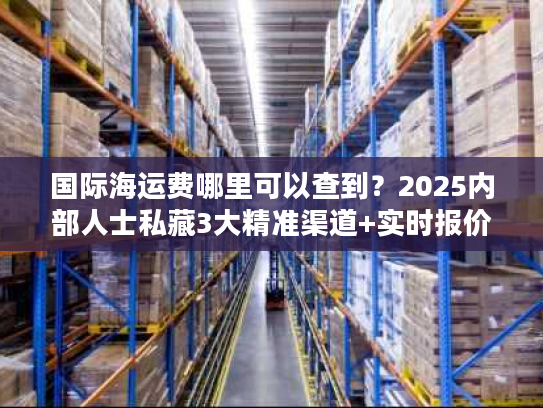 国际海运费哪里可以查到？2025内部人士私藏3大精准渠道+实时报价技巧