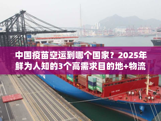 中国疫苗空运到哪个国家？2025年鲜为人知的3个高需求目的地+物流解决方案