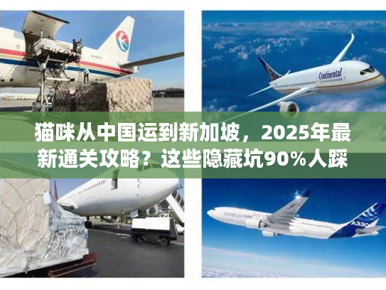 猫咪从中国运到新加坡，2025年最新通关攻略？这些隐藏坑90%人踩过！