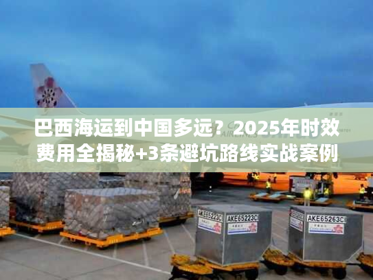 巴西海运到中国多远？2025年时效费用全揭秘+3条避坑路线实战案例