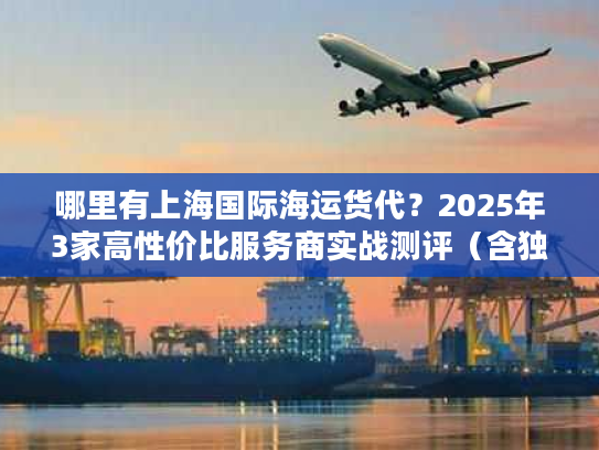 哪里有上海国际海运货代？2025年3家高性价比服务商实战测评（含独家筛选技巧）