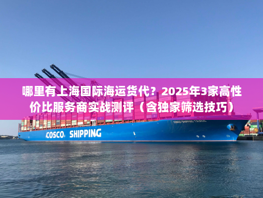 哪里有上海国际海运货代？2025年3家高性价比服务商实战测评（含独家筛选技巧）