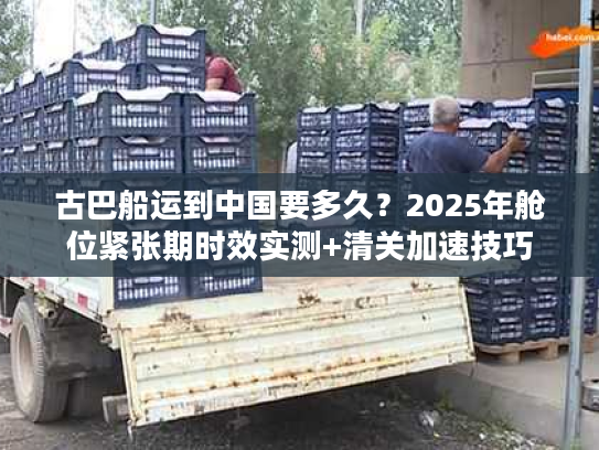 古巴船运到中国要多久？2025年舱位紧张期时效实测+清关加速技巧