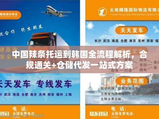 中国辣条托运到韩国全流程解析，合规通关+仓储代发一站式方案