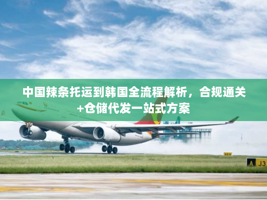 中国辣条托运到韩国全流程解析，合规通关+仓储代发一站式方案