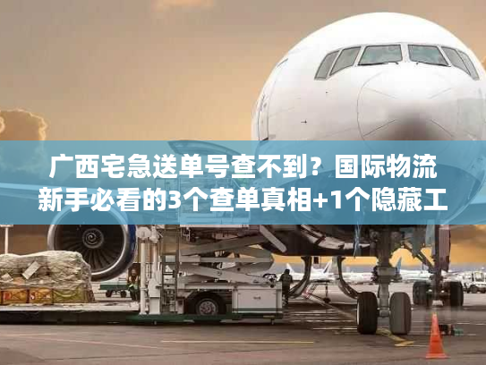 广西宅急送单号查不到？国际物流新手必看的3个查单真相+1个隐藏工具
