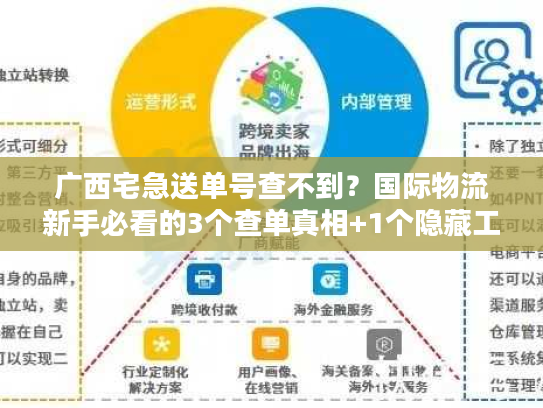 广西宅急送单号查不到？国际物流新手必看的3个查单真相+1个隐藏工具