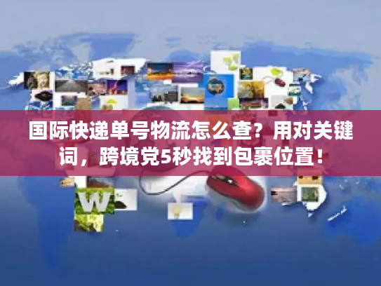 国际快递单号物流怎么查？用对关键词，跨境党5秒找到包裹位置！
