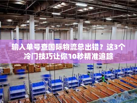 输入单号查国际物流总出错？这3个冷门技巧让你10秒精准追踪
